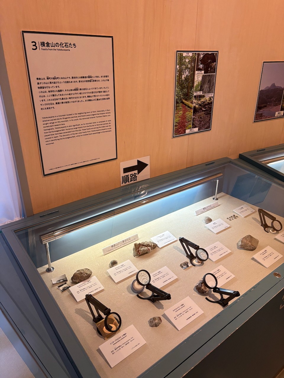 展示解説「蛇紋岩と謎に包まれた黒瀬川帯」