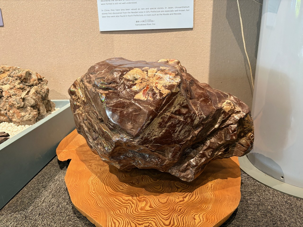 ２月２２日（日）展示解説「菊花石」