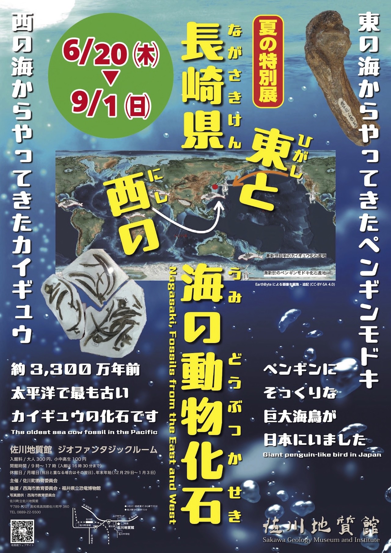 特別展ポスター