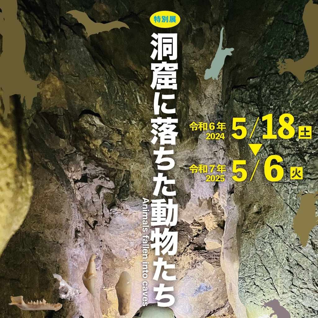 「洞窟に落ちた動物たち」
