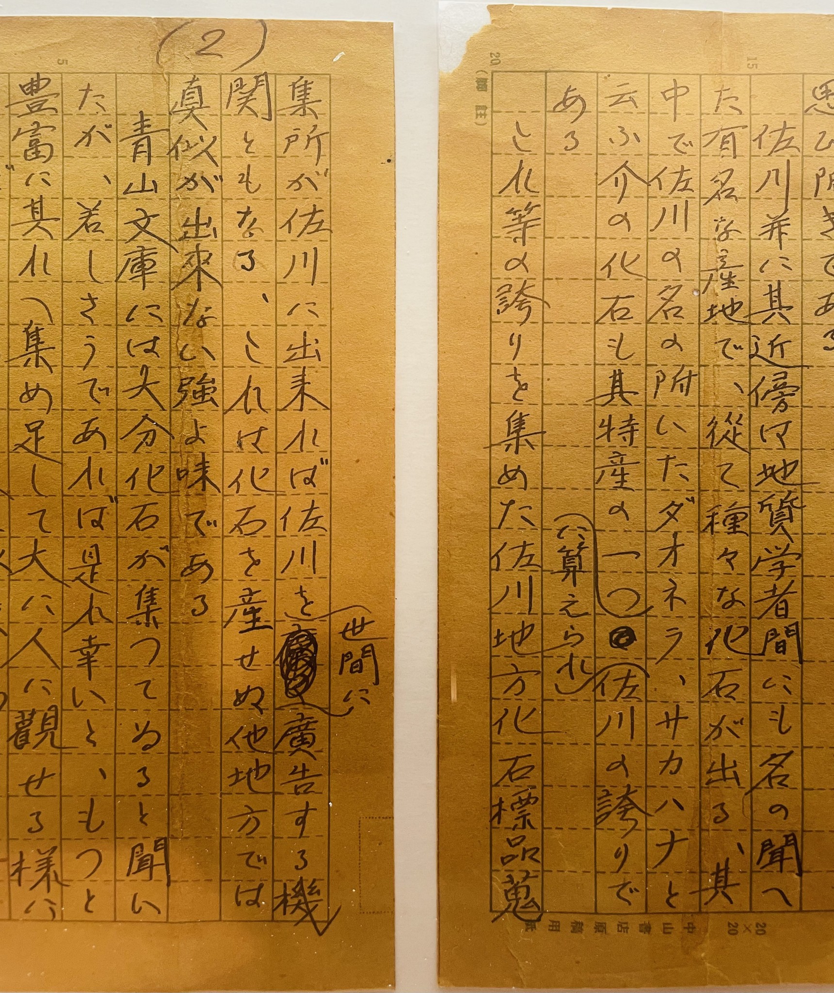 牧野博士直筆の手紙
